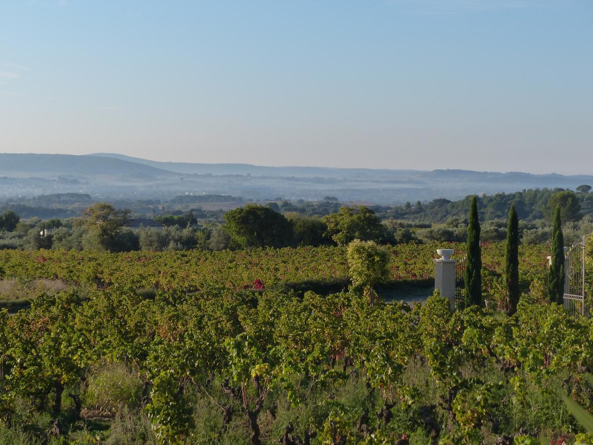 Chateau De Valloubiere-Gite Saint-Jean-de-Fos المظهر الخارجي الصورة